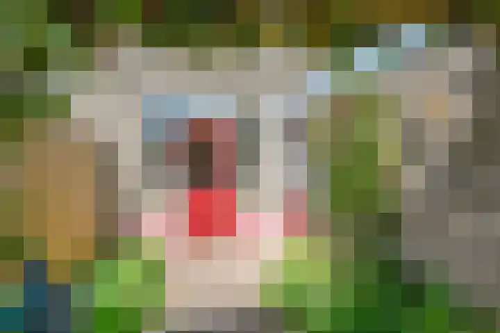 Dr. R.J. Fruinstraat 36 Den Haag thumbnail 9