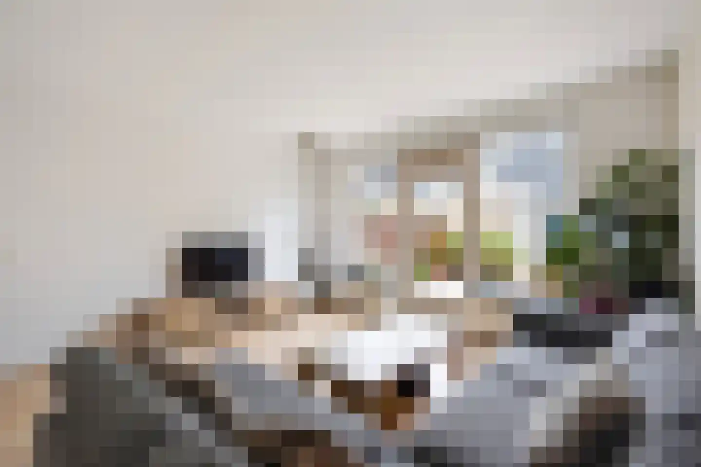 Dr. R.J. Fruinstraat 91 Den Haag thumbnail 13