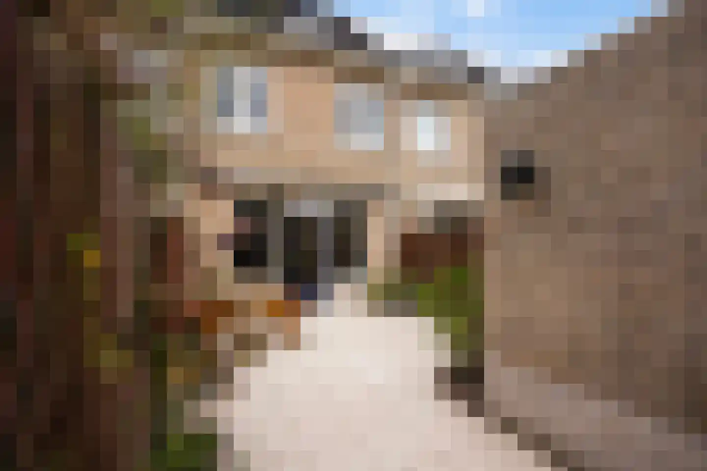 Dr. R.J. Fruinstraat 91 Den Haag thumbnail 17