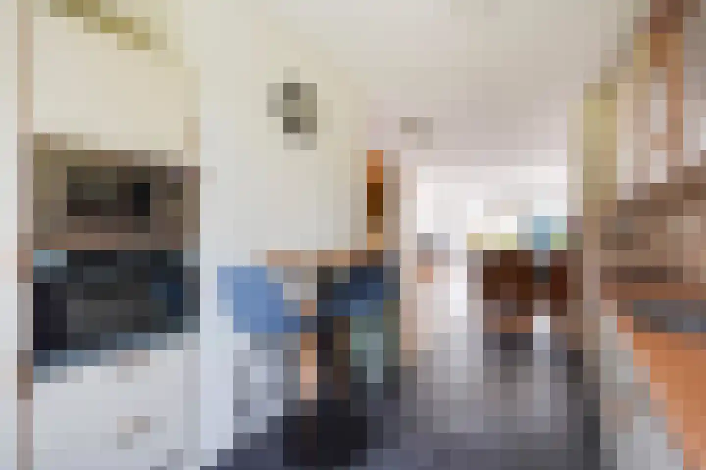 Dr. R.J. Fruinstraat 91 Den Haag foto 3