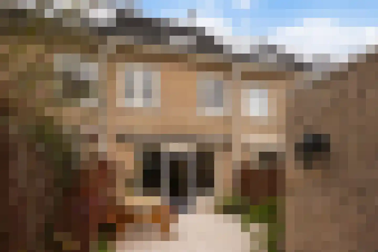 Dr. R.J. Fruinstraat 91 Den Haag thumbnail 4