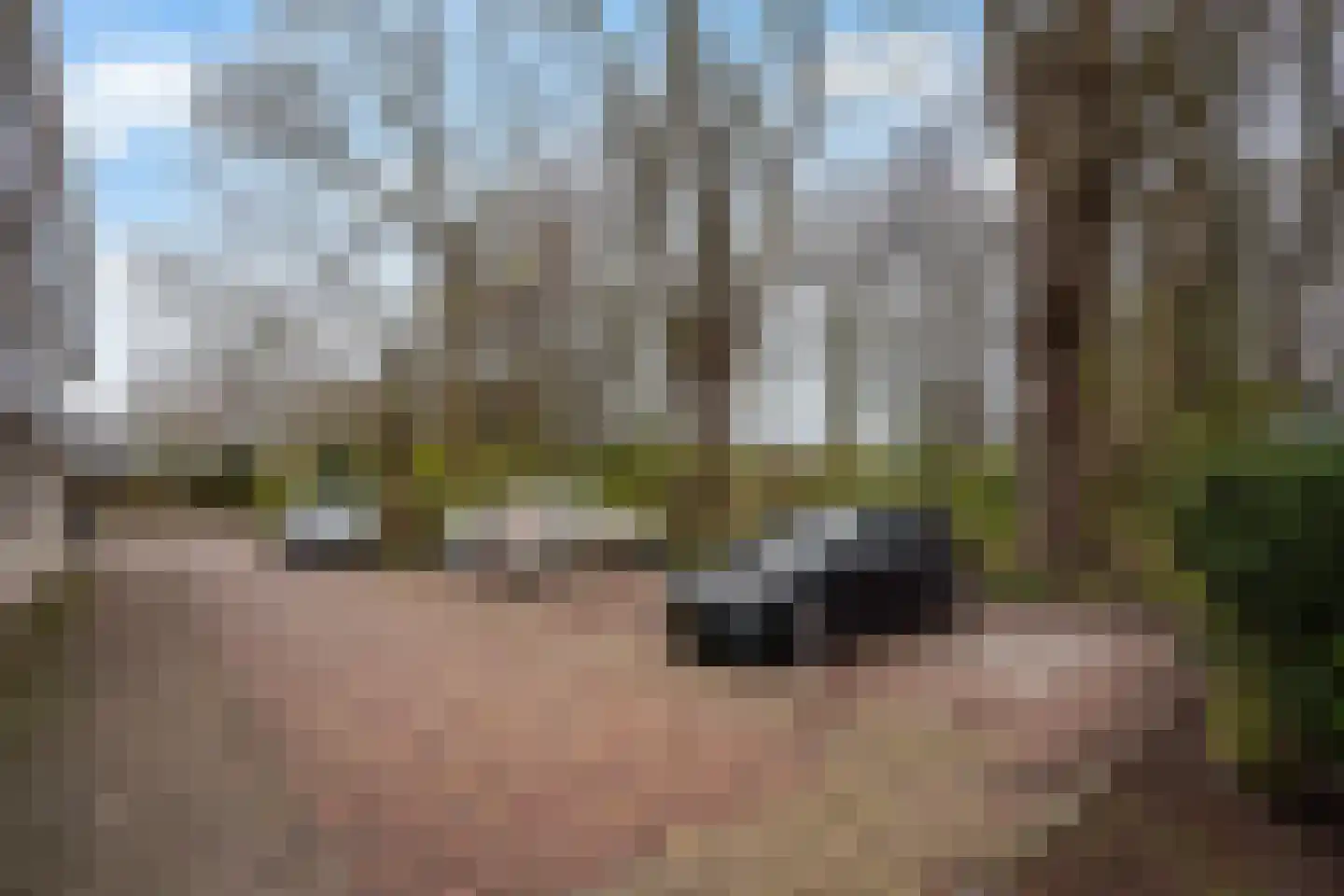 Dr. R.J. Fruinstraat 91 Den Haag thumbnail 43