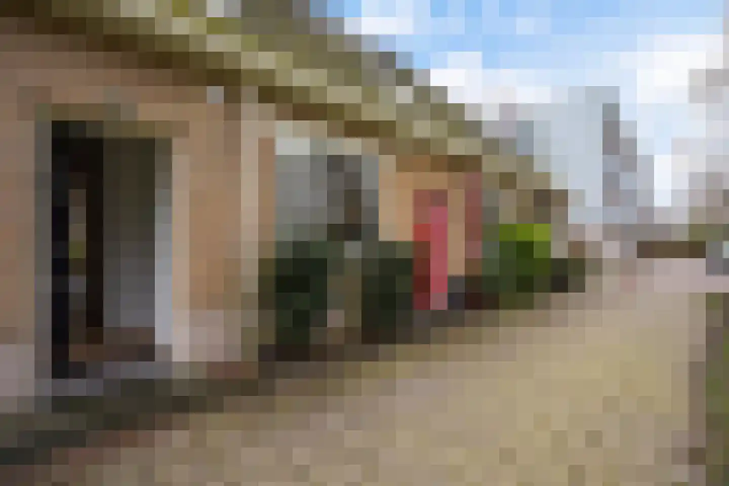 Dr. R.J. Fruinstraat 91 Den Haag thumbnail 5