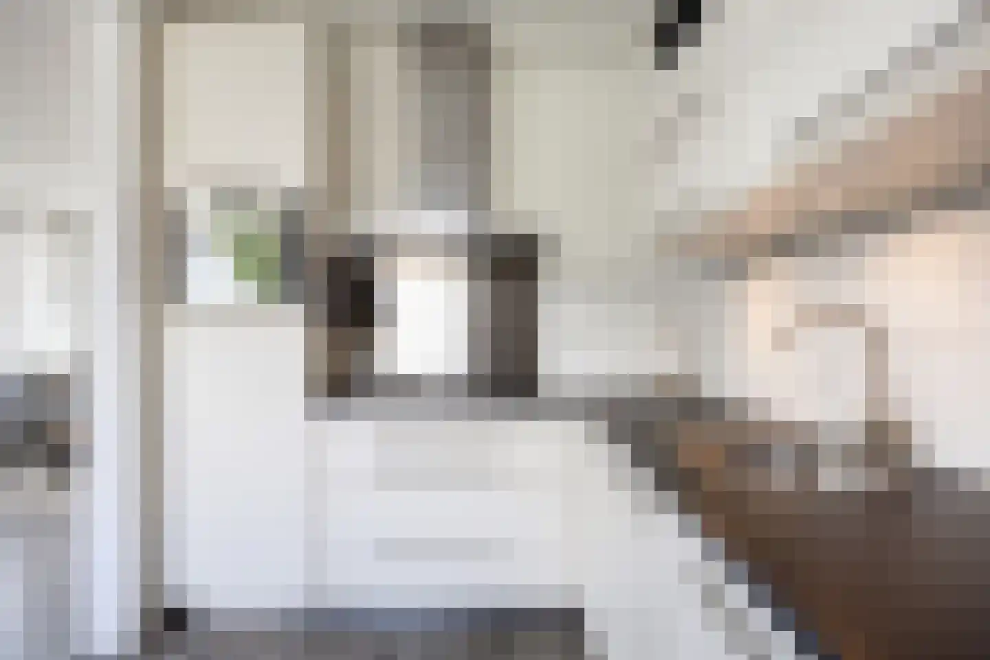 Dr. R. Rijkensstraat 4 Warffum thumbnail 22