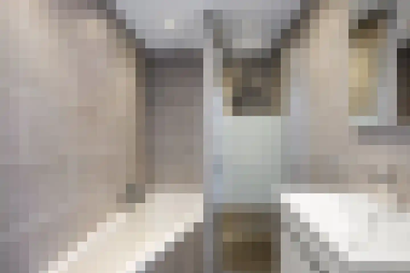 Dr. R. Rijkensstraat 4 Warffum thumbnail 35