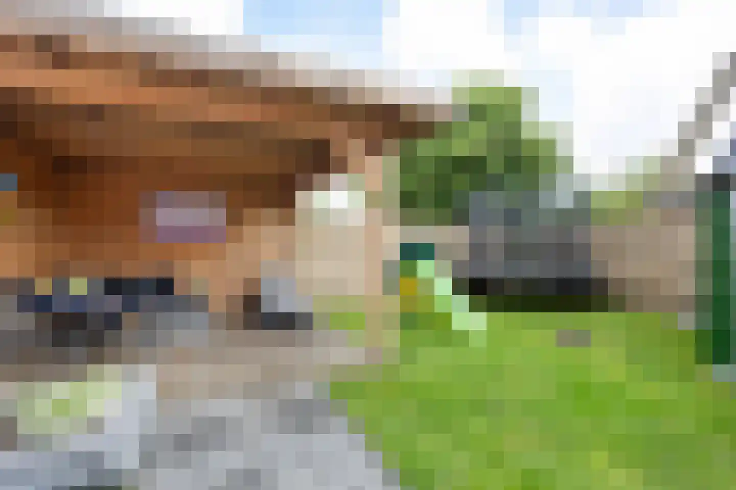 Dr. R. Rijkensstraat 4 Warffum thumbnail 49