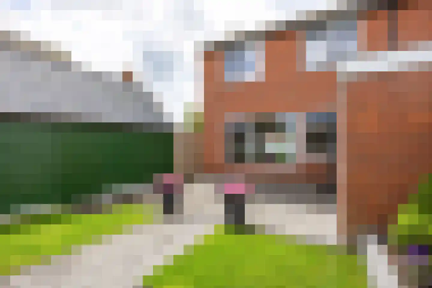 Dr. R. Rijkensstraat 4 Warffum thumbnail 56
