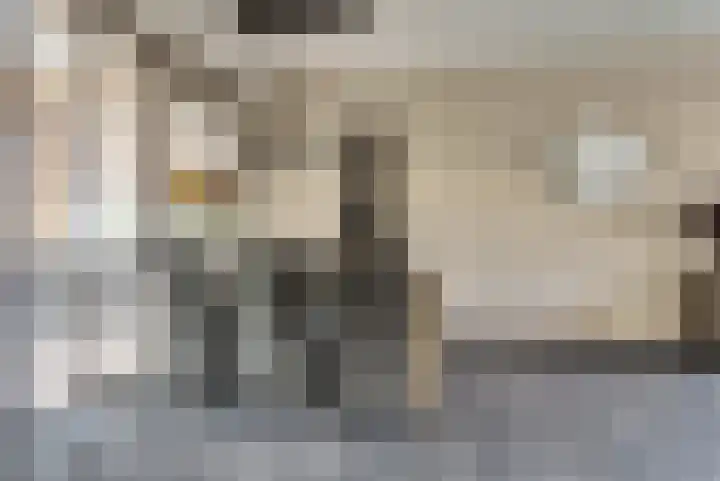 Dr R v Oppenraaijstr 66 Bemmel thumbnail 10