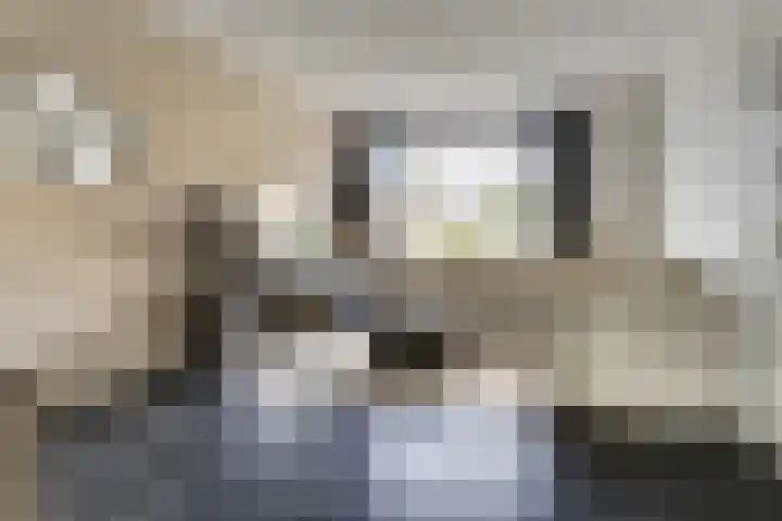 Dr R v Oppenraaijstr 66 Bemmel thumbnail 11