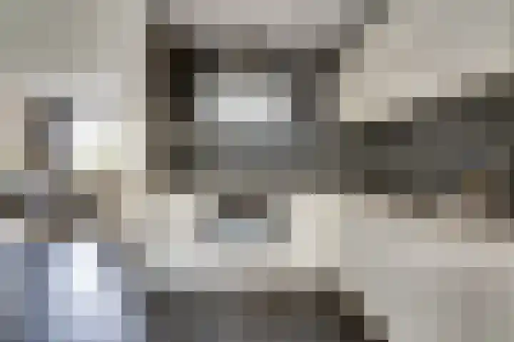 Dr R v Oppenraaijstr 66 Bemmel thumbnail 13