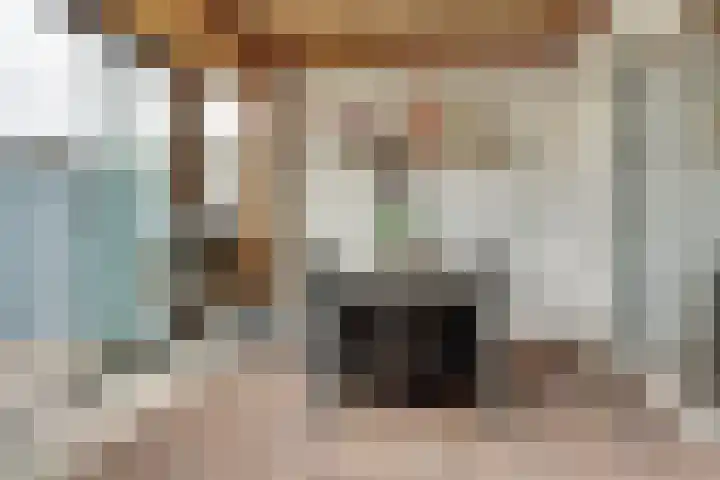 Dr R v Oppenraaijstr 66 Bemmel thumbnail 16