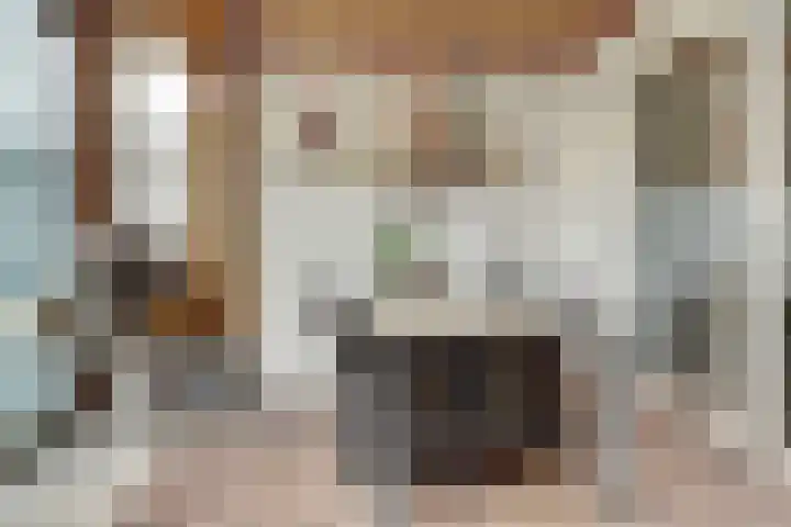 Dr R v Oppenraaijstr 66 Bemmel thumbnail 17