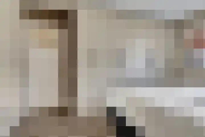 Dr R v Oppenraaijstr 66 Bemmel thumbnail 22