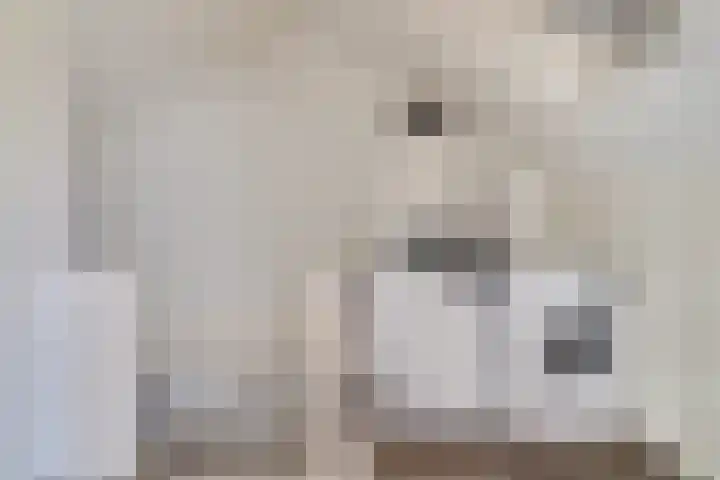 Dr R v Oppenraaijstr 66 Bemmel thumbnail 28