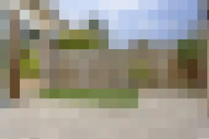 Dr R v Oppenraaijstr 66 Bemmel thumbnail 32