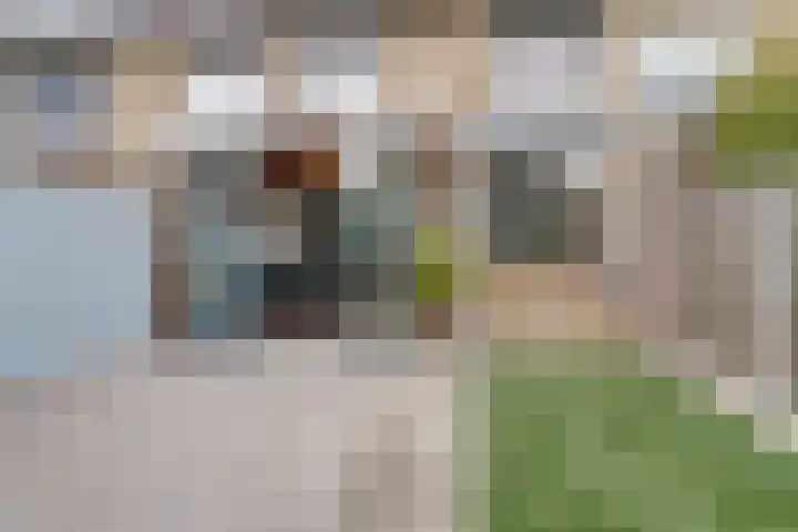 Dr R v Oppenraaijstr 66 Bemmel thumbnail 34