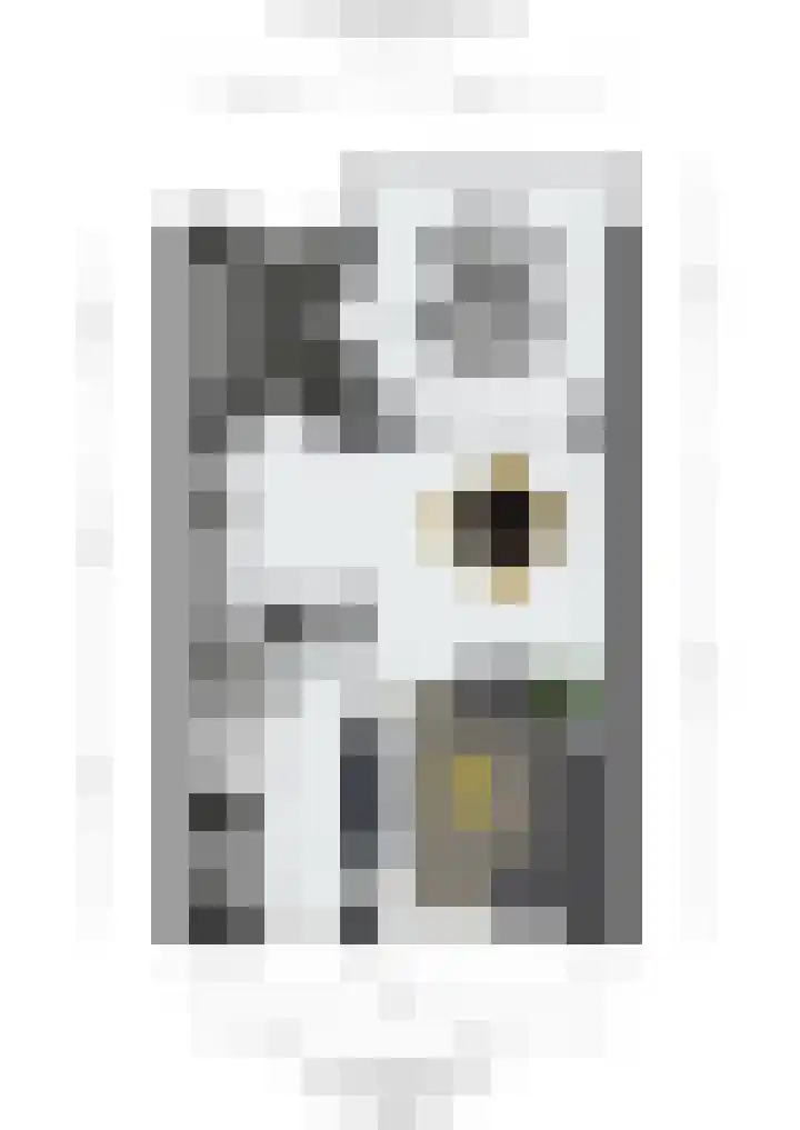 Dr R v Oppenraaijstr 66 Bemmel thumbnail 37