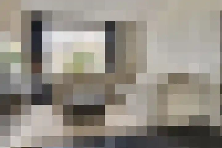 Dr R v Oppenraaijstr 66 Bemmel thumbnail 4