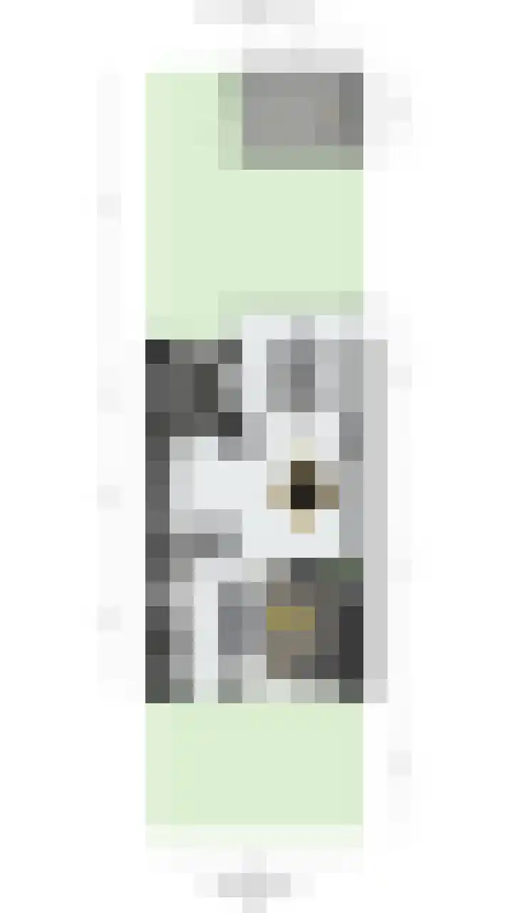 Dr R v Oppenraaijstr 66 Bemmel thumbnail 43