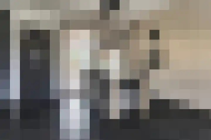 Dr R v Oppenraaijstr 66 Bemmel thumbnail 7