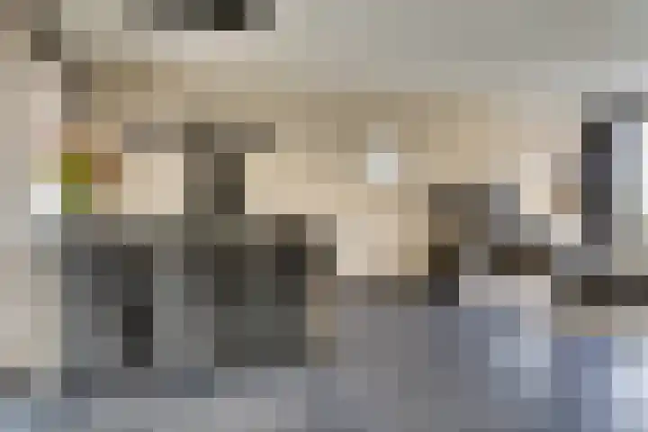 Dr R v Oppenraaijstr 66 Bemmel thumbnail 9