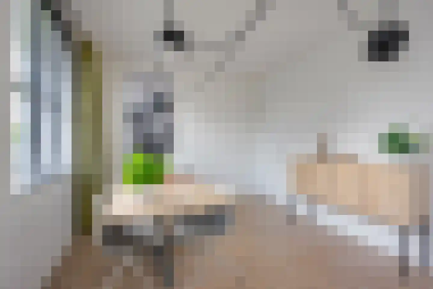 Dr. R. van Lutterveltstraat 20 Maarssen thumbnail 54