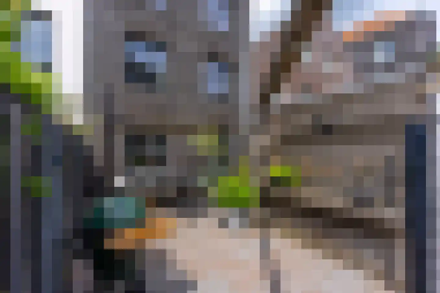 Dr. R. van Lutterveltstraat 20 Maarssen thumbnail 61