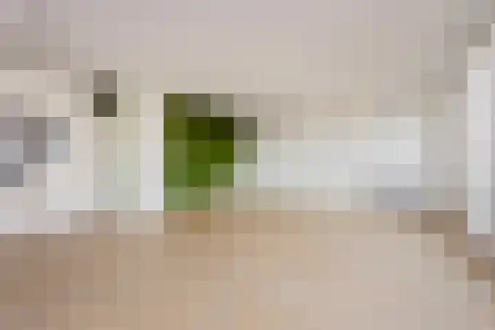Dr. R. van Lutterveltstraat 38 Maarssen thumbnail 6
