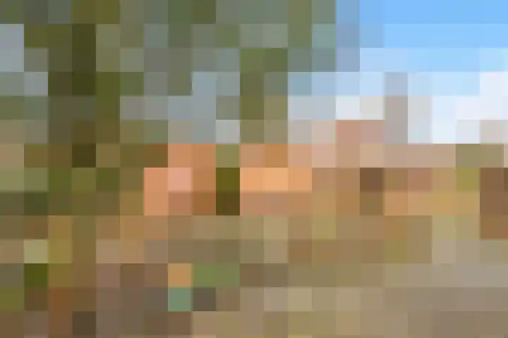Dr. Ramaerlaan 24 Castricum thumbnail 12
