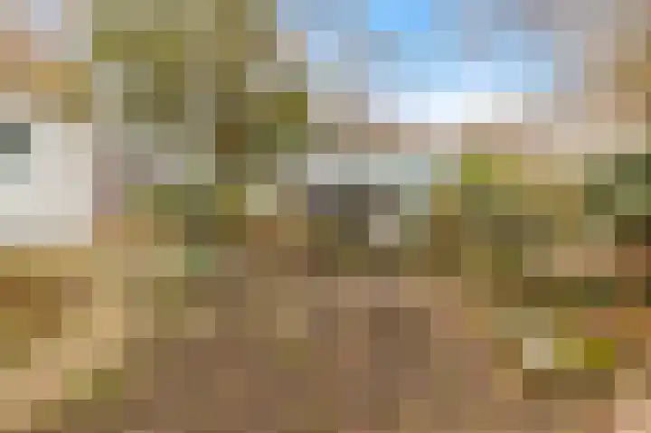Dr. Ramaerlaan 24 Castricum thumbnail 14