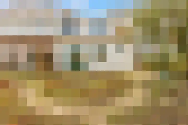 Dr. Ramaerlaan 24 Castricum thumbnail 15