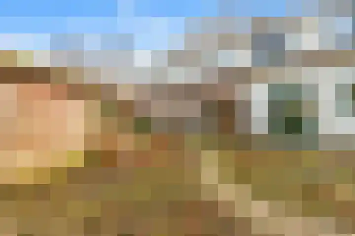 Dr. Ramaerlaan 24 Castricum thumbnail 16