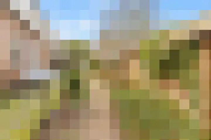 Dr. Ramaerlaan 24 Castricum thumbnail 18