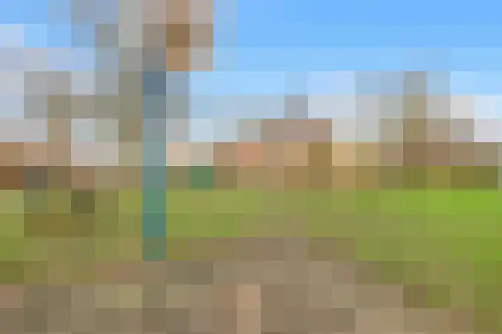 Dr. Ramaerlaan 24 Castricum thumbnail 29