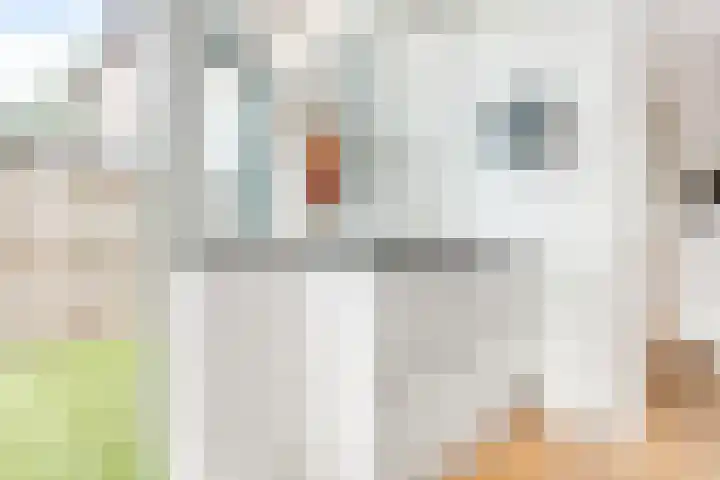 Dr. Ramaerlaan 27 Den Dolder thumbnail 14