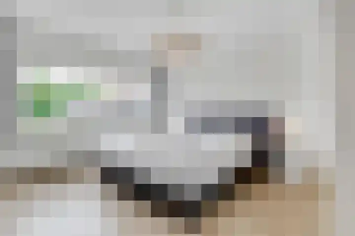 Dr. Ramaerlaan 27 Den Dolder thumbnail 18