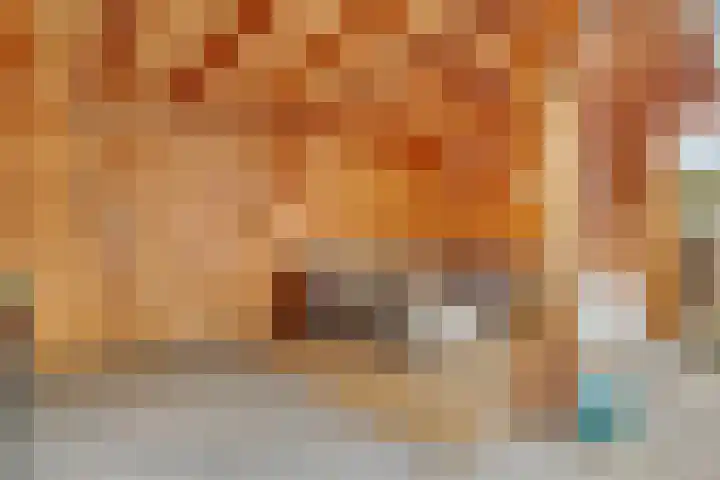 Dr. Ramaerlaan 27 Den Dolder thumbnail 33