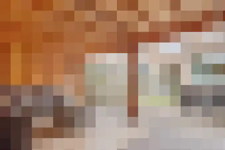 Dr. Ramaerlaan 27 Den Dolder thumbnail 34