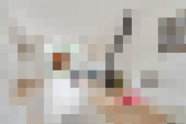 Dr. Ramaerlaan 27 Den Dolder thumbnail 5