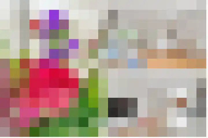 Dr. Ramaerlaan 27 Den Dolder thumbnail 8