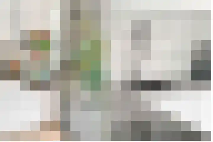 Dr. Ramaerlaan 3 Den Dolder thumbnail 10
