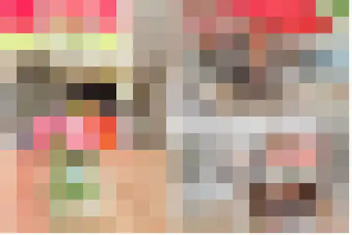 Dr. Ramaerlaan 3 Den Dolder thumbnail 13