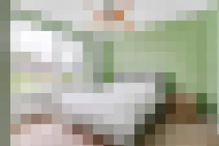 Dr. Ramaerlaan 3 Den Dolder thumbnail 17