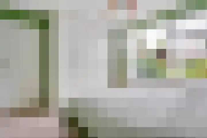 Dr. Ramaerlaan 3 Den Dolder thumbnail 18