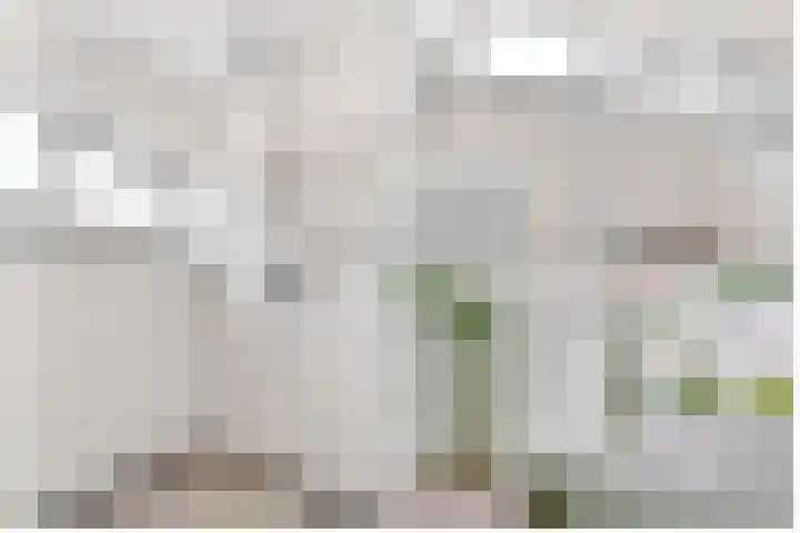 Dr. Ramaerlaan 3 Den Dolder thumbnail 22
