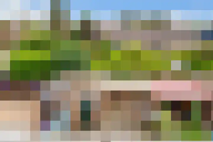 Dr. Ramaerlaan 3 Den Dolder thumbnail 29