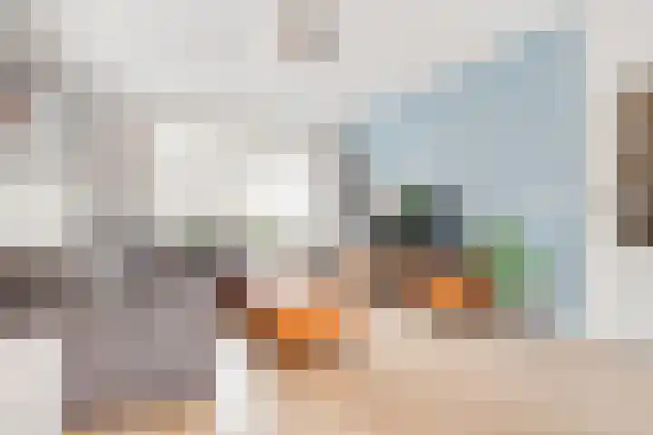 Dr. Ramaerlaan 3 Den Dolder foto 3