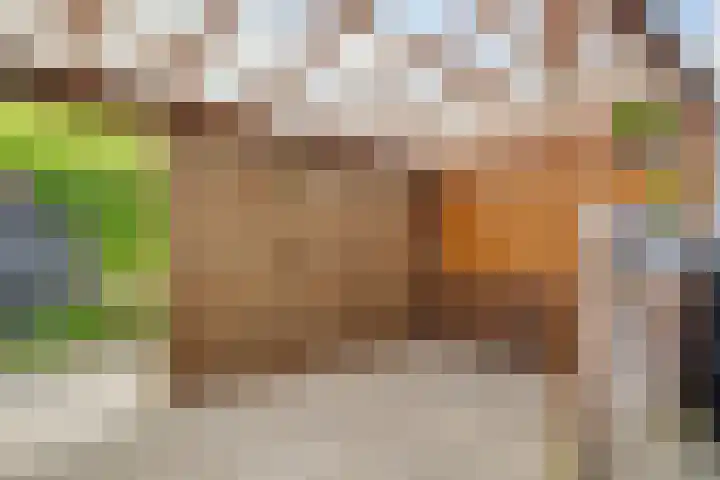 Dr. Ramaerlaan 3 Den Dolder thumbnail 35