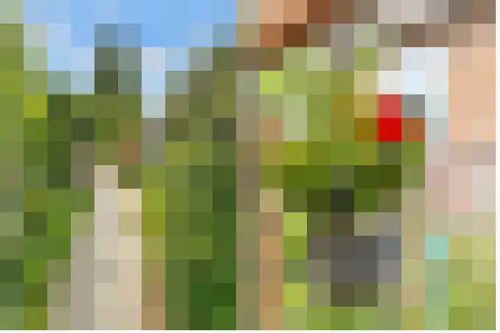 Dr. Ramaerlaan 3 Den Dolder thumbnail 36
