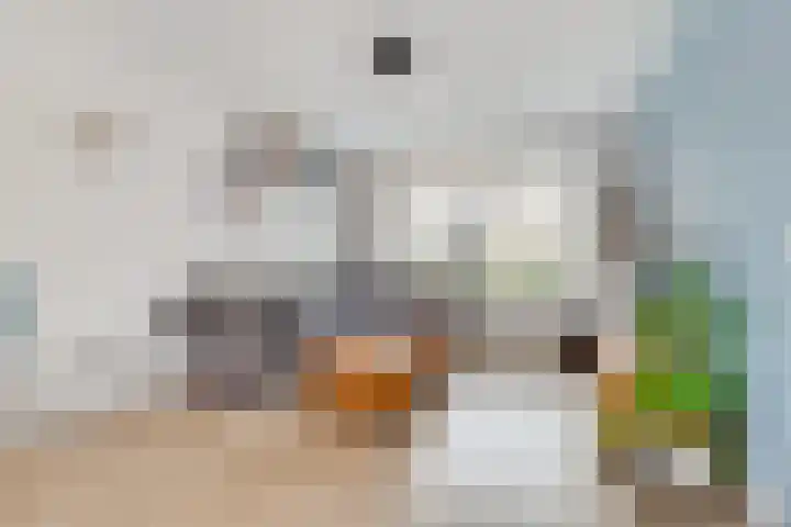 Dr. Ramaerlaan 3 Den Dolder thumbnail 4